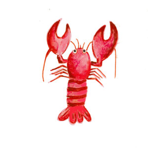 Lobster Sticker
