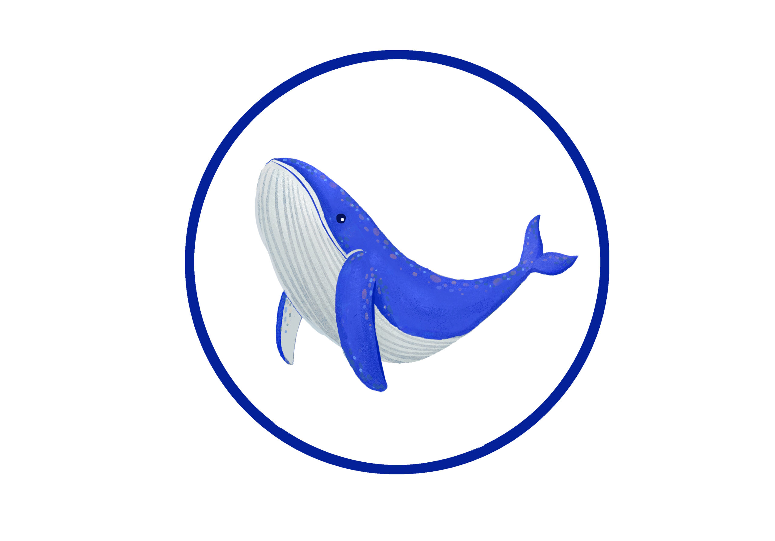 Whale Sticker
