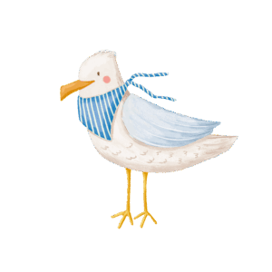 Seagull Sticker