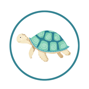 Turtle Sticker